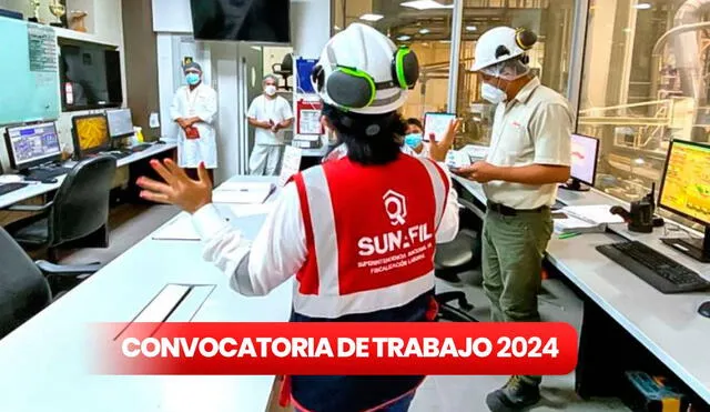 Sunafil ofrece 11 vacantes a los que se puede postular el 5 y 6 de febrero. Foto: composición LR/Andina