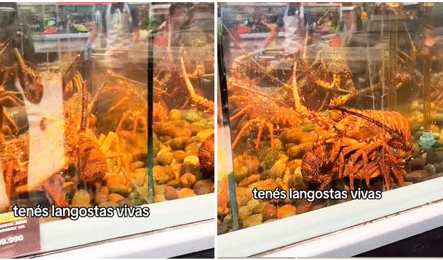 Las imágenes de las langostas vivas asombraron a los usuarios en redes sociales. Foto: composición LOL/TikTok/@melimoriatisfit