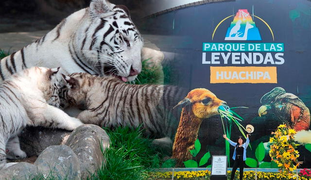 El Parque de las Leyendas funciona todos los días hasta las 5.00 p. m. Foto: composición LR/RPP