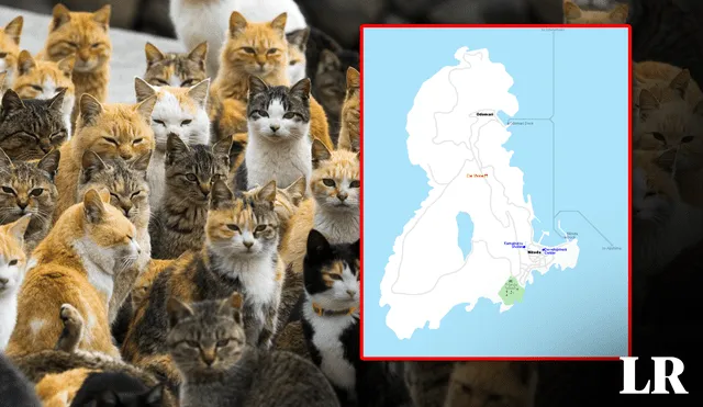 Japón tiene 2 lugares conocidos como isla de los gatos. Foto: composición de Fabrizio Oviedo