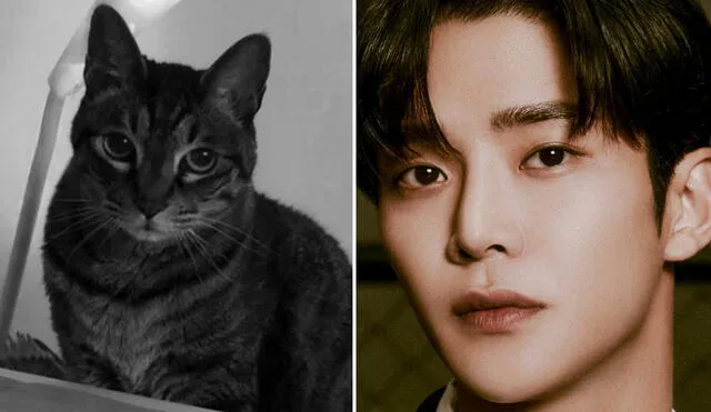 El galán de 'Un amor predestinado', Ro Woon, tenía 10 años cuando conoció a su gato. Foto: composición LR/Instagram/tvN