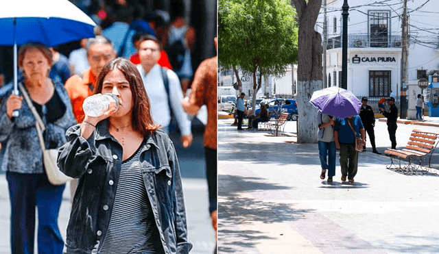 Altas temperaturas se registran este 2024. Foto: Andina/INS - Video: Senamhi