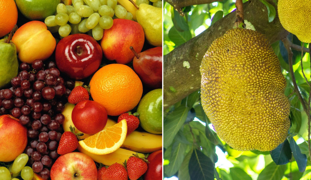 La fruta de siete sabores se puede consumir madura y cuando aún este verde. Foto: composición LR/ Flora Londrina/ El Español