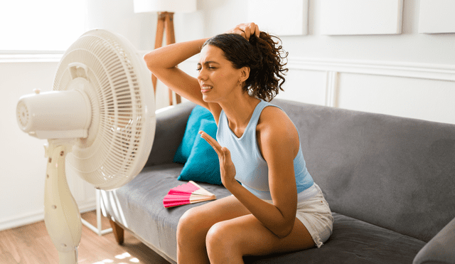 A pesar de un incremento de stock, en comparación con el 2023, ventiladores se agotarían este año. Foto: Canva