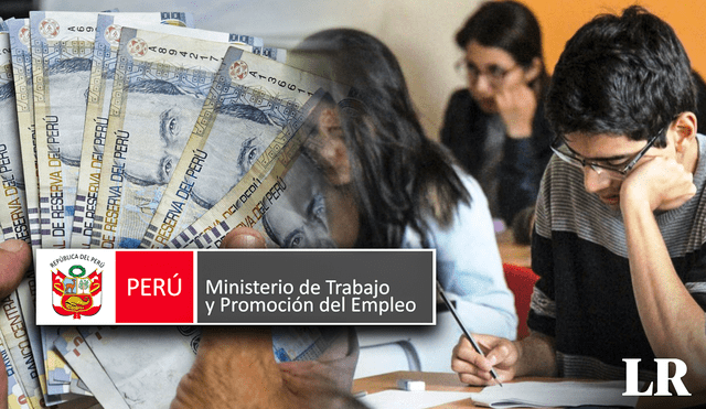 Esta carrera profesional solo la ofrecen algunas universidades en el Perú. Foto: composición LR/Fabrizio Oviedo/MTPE/Gices