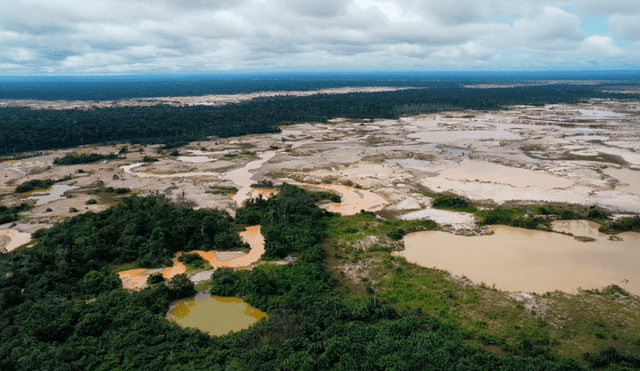 La selva peruana es la más afectada por tala y minería ilegal, así como por la deforestación. Foto: Antonio Melgarejo/La República