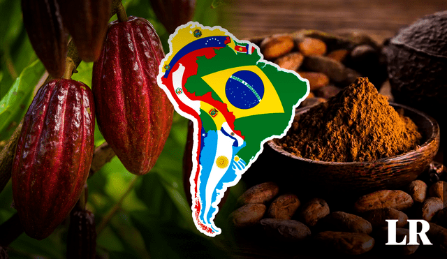 Este premio resalta la calidad y el sabor único de este insumo dentro del país sudamericano. Foto: composición LR/ABC