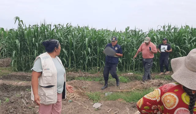 Descubrieron al infante con una lesión en la cabeza y cubierto con una camiseta. Foto: difusión