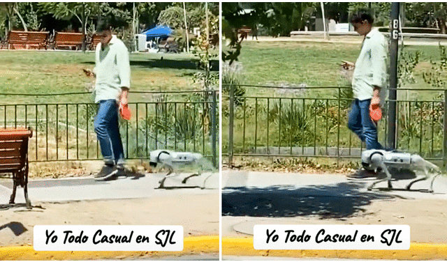 Muy tranquilo camina el peruano con su perro robot a su lado por un parque de SJL. Foto: composición LR/TikTok/@yujiro.valentino
