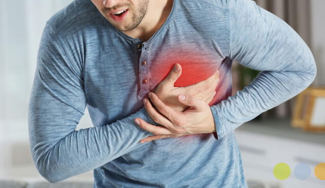 Es importante seguir recomendaciones de especialistas para cuidar el sistema cardiovascular. Foto: PV Equip