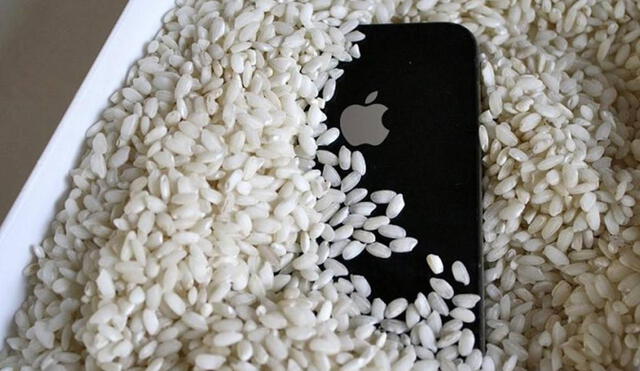 El arroz puede ser perjudicial para tu teléfono. Foto: Dinero en imagen