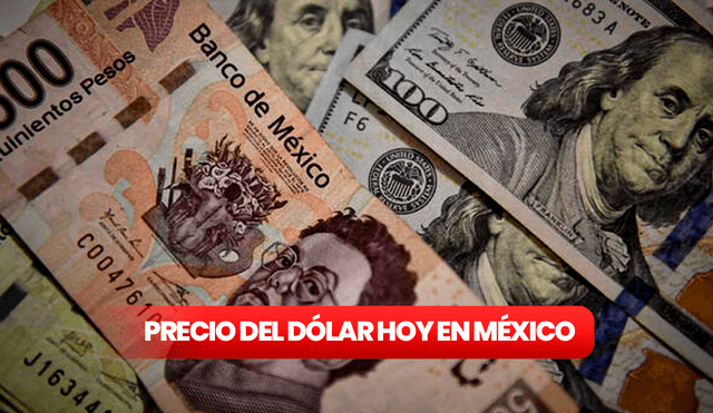 Precio del dólar en México para hoy, martes 20 de febrero. Foto: composición LR/AFP/Freepik