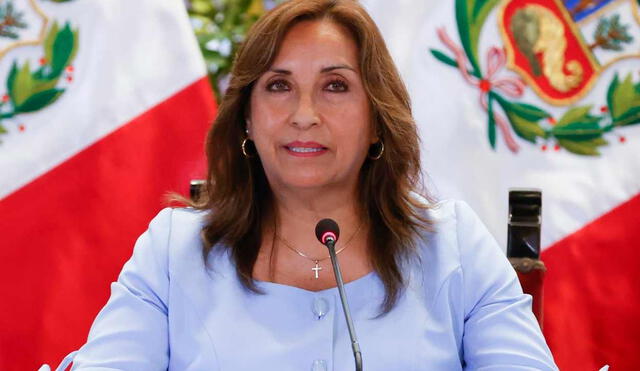 Dina Boluarte recibió criticas tras decir que es la "madre de todo el Perú". Foto: Prensa Presidencia