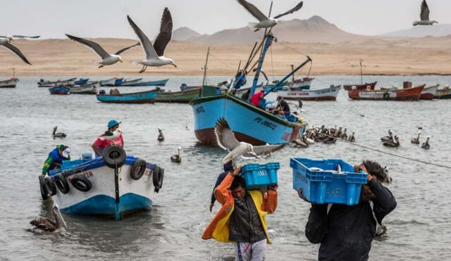 En una semana caduca el plazo para acceder a la ayuda monetaria. Foto: Oceana