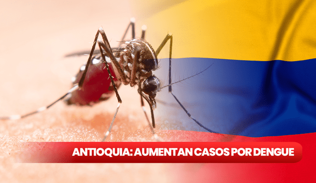El incremento en la propagación del dengue por el mosquito Aedes aegypti se asocia con las altas temperaturas del verano, especialmente en la región de Antioquia donde se han observado estas condiciones climáticas. Foto: composición LR/Freepik
