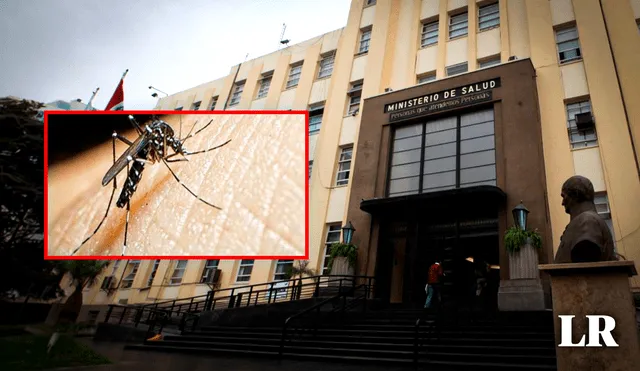 El dengue es una enfermedad que puede llevar a la muerte en casos extremos. Foto: composición de Gerson Cardoso/La República