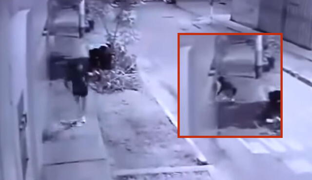 Mujer huyendo luego de colocar un explosivo en la puerta de un colegio en Trujillo. Foto: composición LR/captura video Ribereña