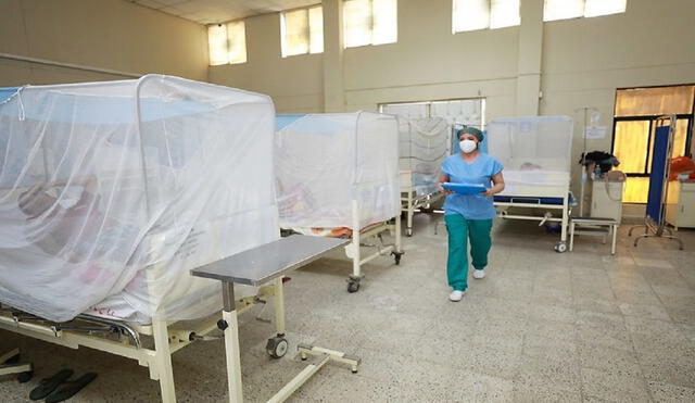 Hospitales albergan a muchos pacientes infectados de dengue. Foto: La República