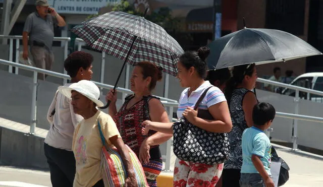 Senamhi calificó el verano 2024 como atípico. Foto: Andina