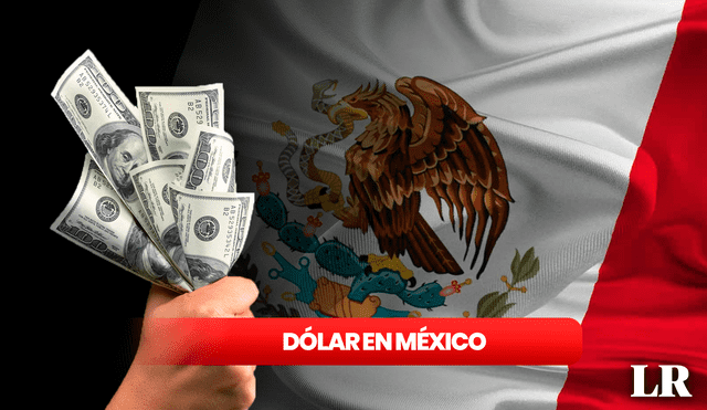 Precio del dólar en México para hoy, jueves 29 de febrero. Foto: composición LR/AFP/Freepik