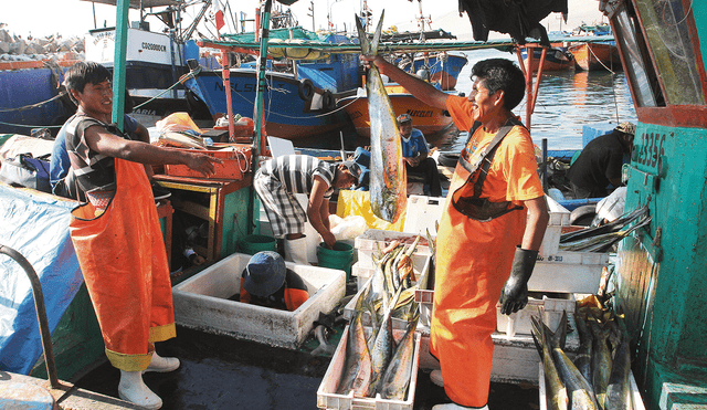Influencia. La pesca artesanal contribuye con 0,15% al PBI nacional con un aporte de S/825 millones al 2022, según Sunat. Foto: difusión