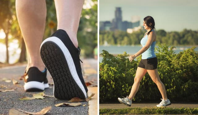 Hacer ejercicio caminando ayuda a prevenir las enfermedades cardiovasculares. Foto: composición LR/El Tiempo/Corredor
