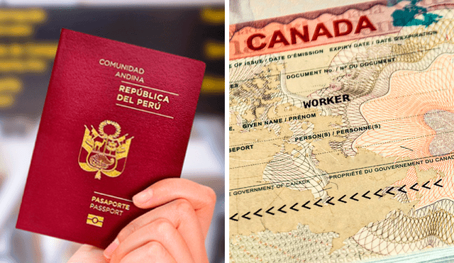 El precio de solicitud de la visa de turista es de 100 dólares canadienses. Foto: composición LR/El Heraldo