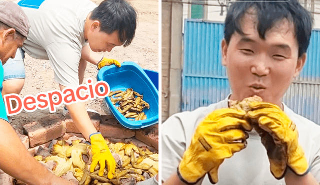 El asiático no pensó que era tan laborioso la preparación de la pachamanca. Foto: composición LR/TikTok/@coreano_en_lima