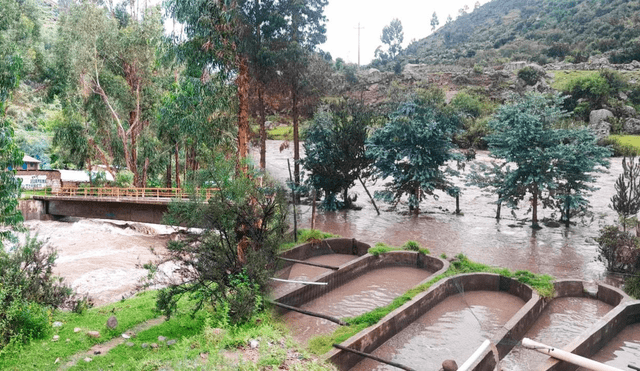 Se informó que las constantes lluvias han provocado la crecida del río. Foto: Jornada