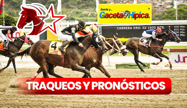 Carreras de Pronosticadores