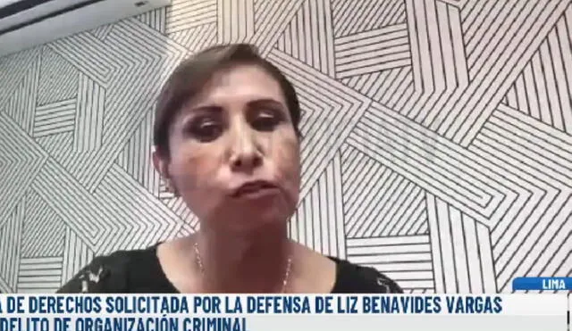 Patricia Benavides intervino en la audiencia de tutela de derechos. Foto: captura de pantalla/Justicia TV