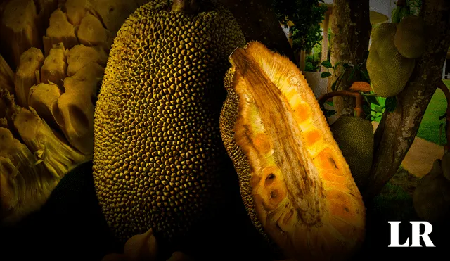 Este fruto crece en un árbol de 20 m de altura y es característico de la flora amazónica. Foto: composición LR/National Geographic