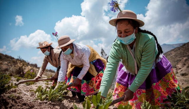Aún en el 2024 las mujeres siguen en pie de lucha por un mundo donde seamos socialmente iguales, humanamente diferentes y totalmente libres. Foto: Andina