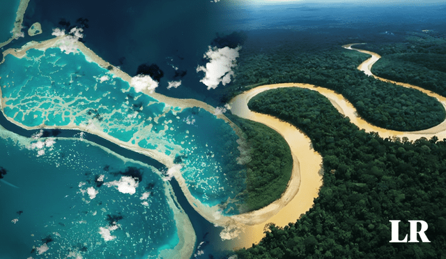 Esta corriente está en el Atlántico, el segundo océano más grande del mundo, y supera al Amazonas, el río más largo del planeta. Foto: composición de Jazmin Ceras/La República/Fundacion Aquae - Video: @Quepasaria/X