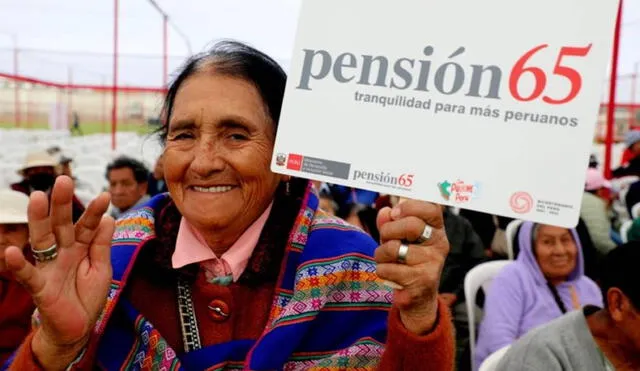 Puedes cobrar Pensión 65 hasta enero del 2025. Foto: Andina