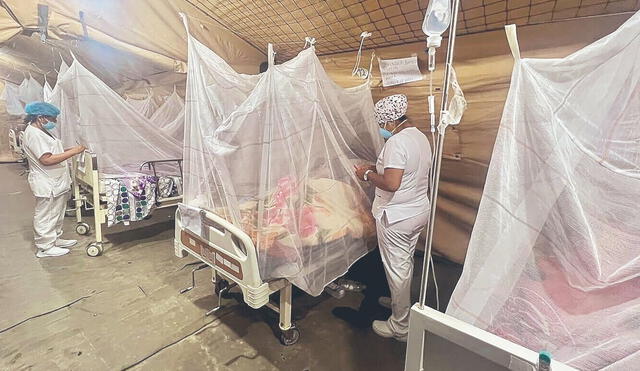 Emergencia. El Minsa estima que marzo sería un mes crítico por el aumento acelerado de casos y muerte por dengue. Foto: difusión.