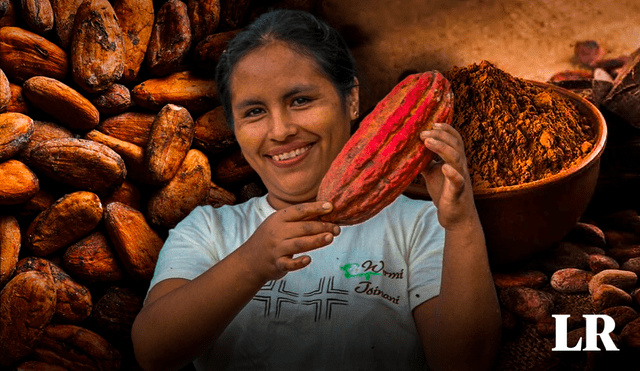 El cacao incrementó su precio de US$2.000 a US$6.523 por tonelada en el último año y medio. Foto: composición LR/Anahuac/MIDAGRI