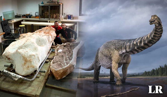 De acuerdo con los investigadores de la ACAP, se halló el 70% del esqueleto del titanosaurio. Foto. composición LR/Sci.News/Damien Boschetto