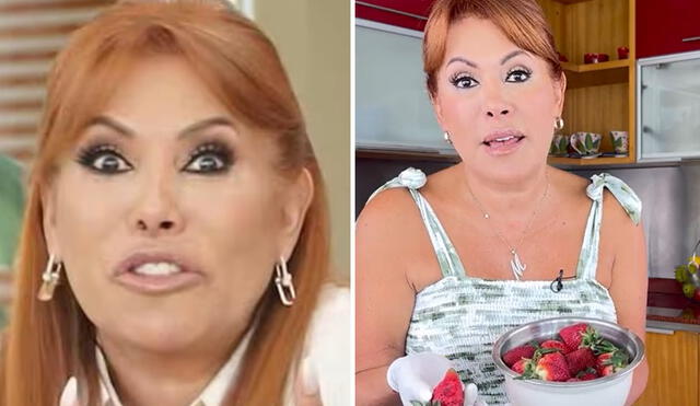 "El vinagre de manzana es carísimo", criticaron los cibernautas sobre el video de Magaly Medina. Foto: composición LR/ magalymedinav/TikTok