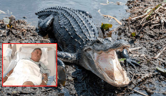Colombiano de 68 años es atacado por un cocodrilo cuando navegaba por Florida. Foto: composición LR /Vanguardia