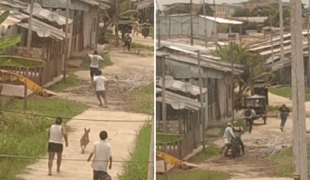 Sospechan que uno de los delincuentes resultó herido. Foto: La República