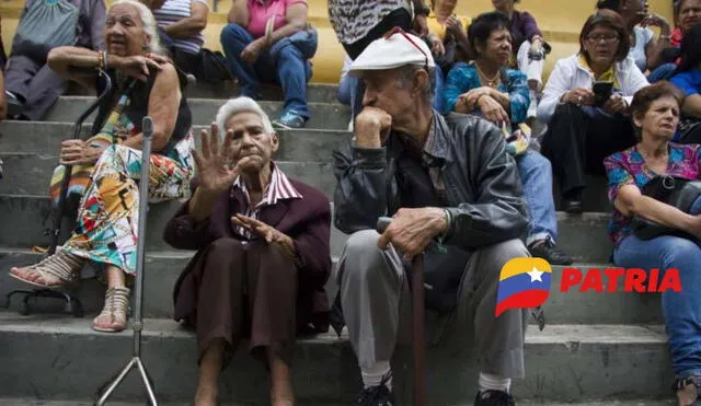 El Bono de Guerra se entrega a trabajadores públicos, jubilados y pensionados. Foto: composiciónLR/Tal Cual/Patria