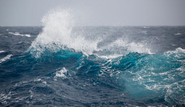 Donde confluyen los océanos se generan olas de gran altura. Foto: Acacia Johnson