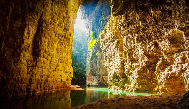 En medio de la selva de Chiapas, en México, se encuentra el arco más alto del mundo. Foto: composición LR/Top Adventure