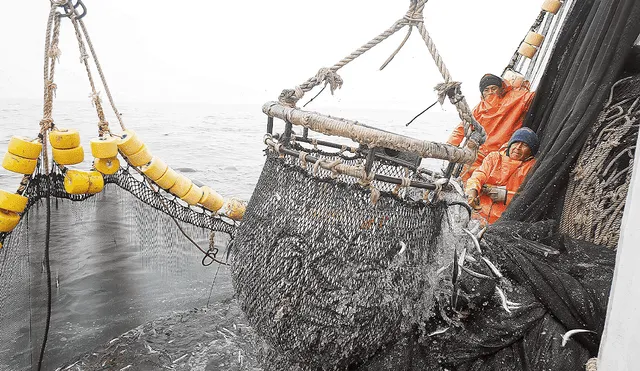 Pesca industrial. Golpeados por la crisis climática, industriales anchoveteros quieren pescar en zona protegida de Paracas. Foto: difusión