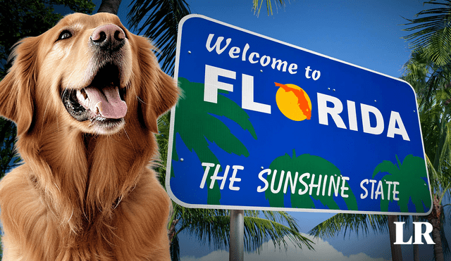 Tanto la Ciudad del Sol como Miami Beach han sido reconocidas por ser amigables con los miembros de 4 patas de la familia. Foto: Composición LR/Jazmín Ceras/ Florida New Dream