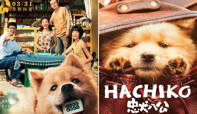 ‘Hachiko 2: siempre a tu lado’ es el remake de la película japonesa que se estrenó en 1987. Foto: composición LR/iQIYI Pictures