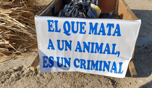 Diversos gremios animalistas se han pronunciado a través de las redes sociales para exigir justicia por Luna. Foto: Patitas SOS Piura