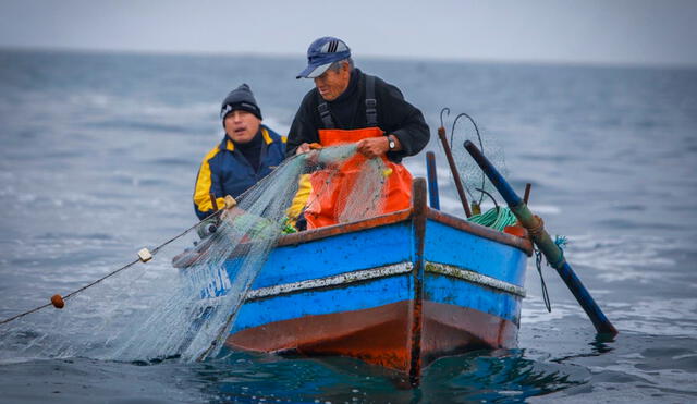 Proyecto de ley podría permitir el uso de equipos mecanizados en la pesca artesanal. Foto: Andina