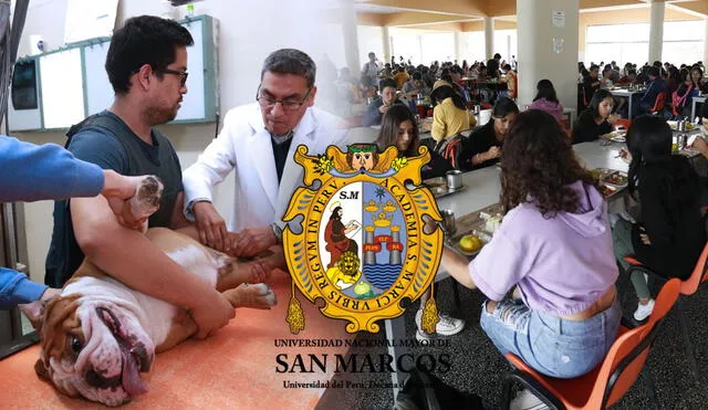 La Universidad Nacional Mayor de San Marcos conmemora su 473 aniversario este año. Foto: composición LR/Andina
